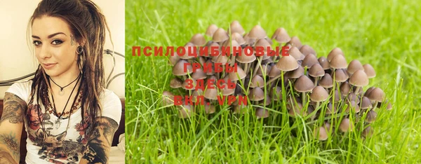 ALPHA-PVP Алексин