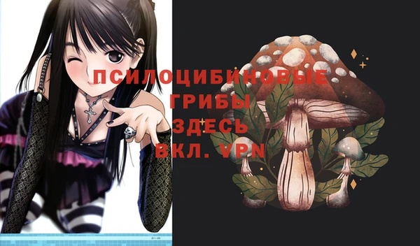 сатива Алексеевка