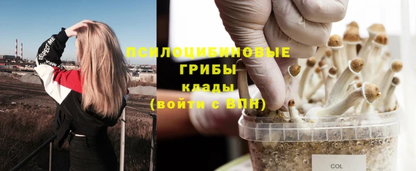 сатива Алексеевка