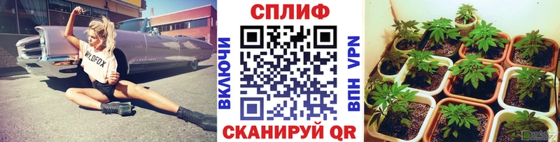 Конопля SATIVA & INDICA  закладки  Спасск-Рязанский 